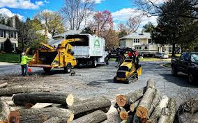 Willow Park, TX Tree Removal Company